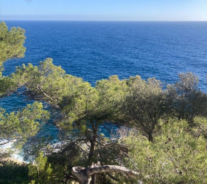 Photo of Others in Beaulieu-sur-Mer