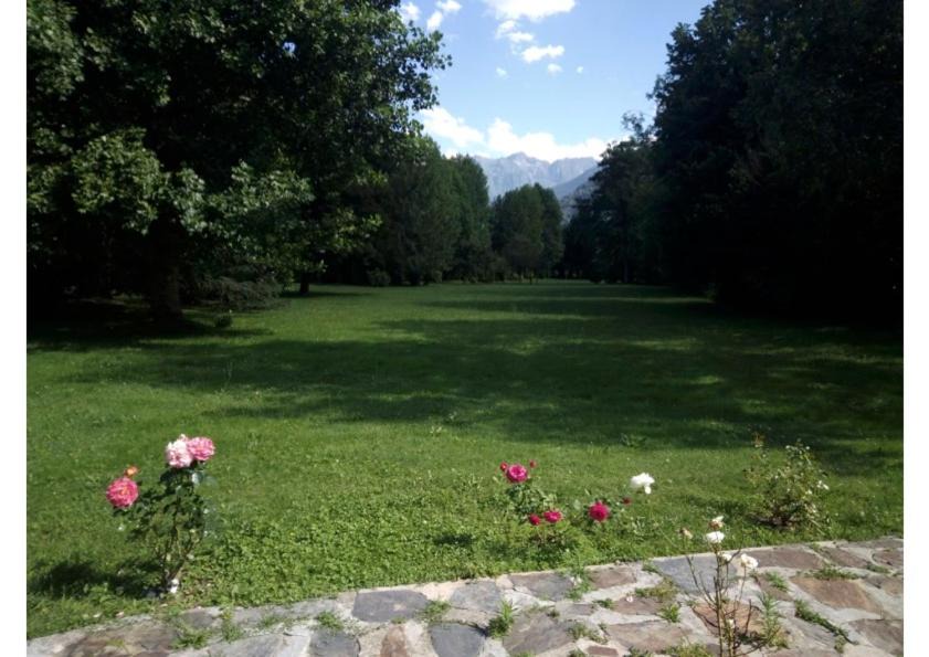 Photo of Others in Bagneres-de-Luchon