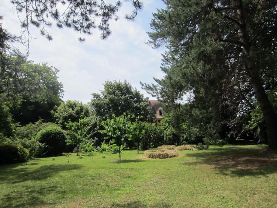 Photo of Others in Champcevinel