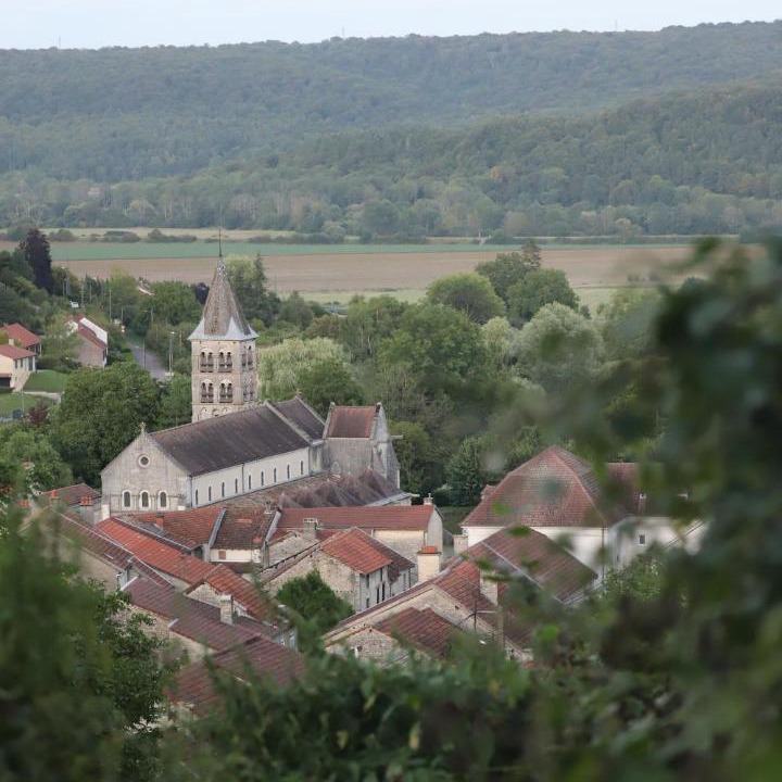 Photo of Others in Vignory
