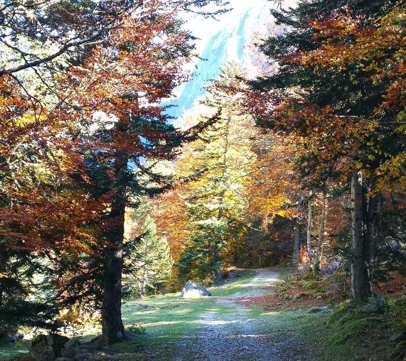 Photo of Others in Cauterets