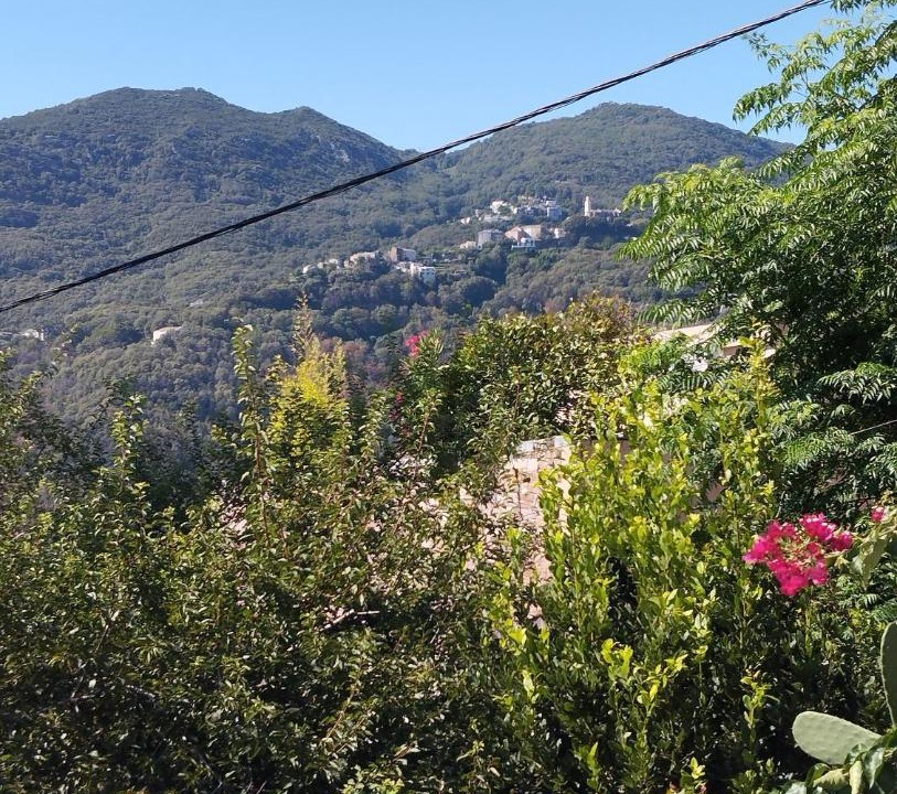 Photo of Others in Figarella