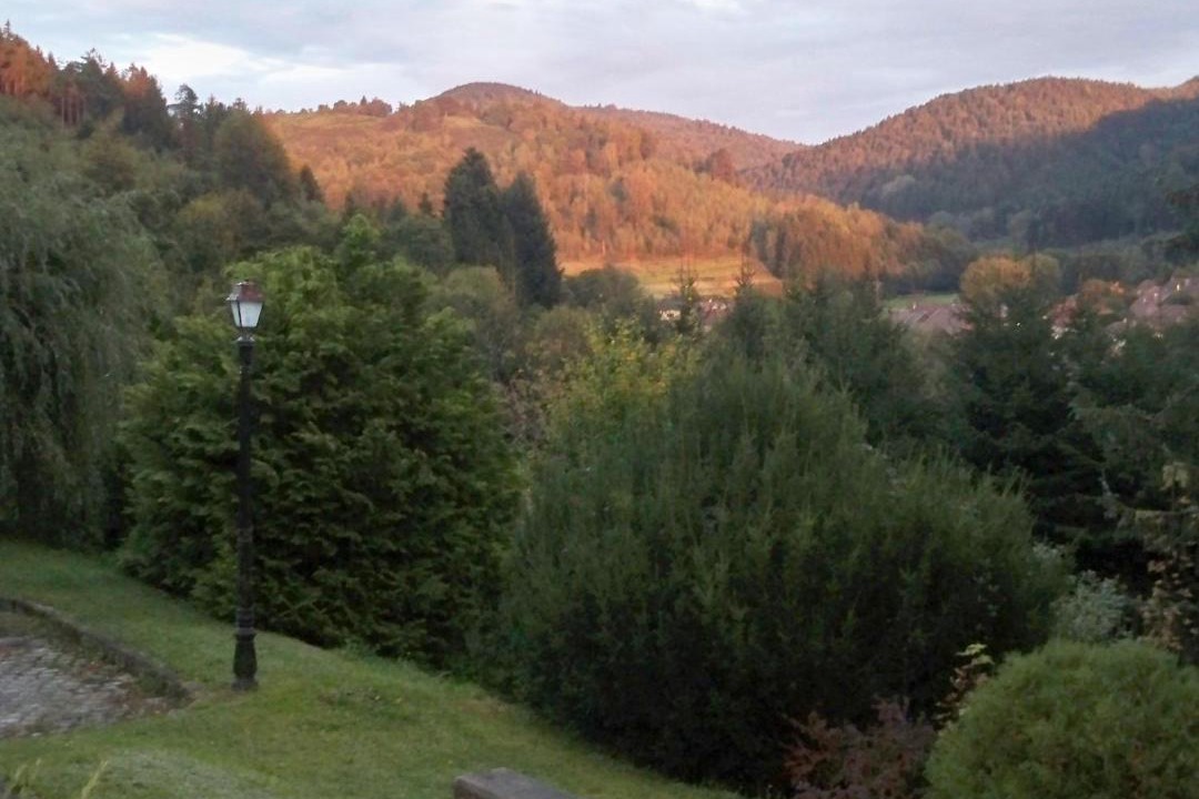 Photo of Others in Lubine