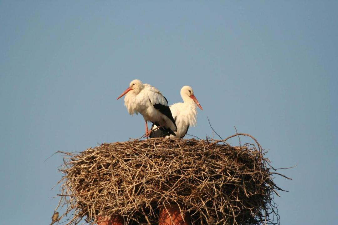 Photo of Others in Eclaron-Braucourt-Sainte-Liviere