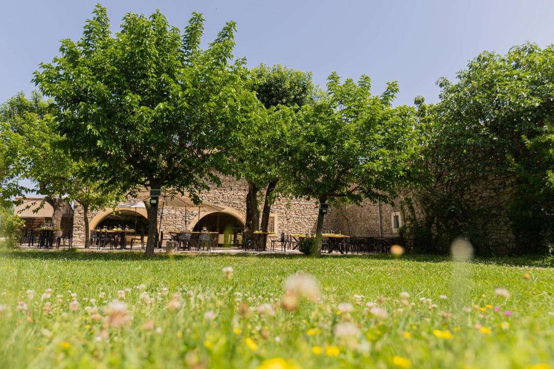 Photo of Others in Vallerargues