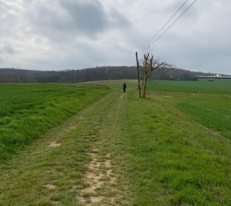 Photo of Others in Villeblevin