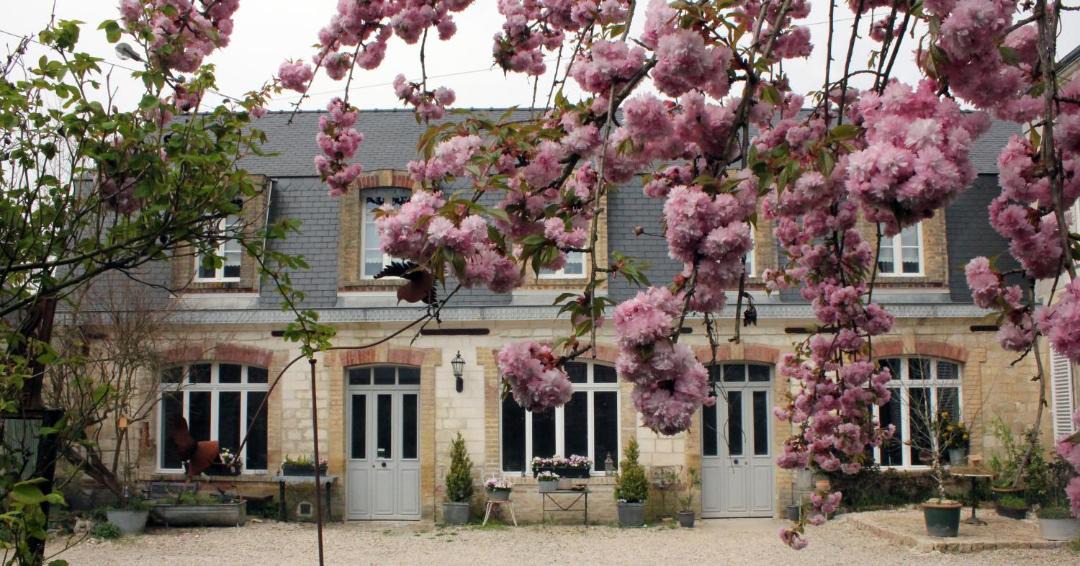 Photo of Others in Sevigny-Waleppe