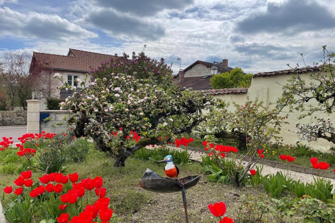 Photo of Others in Colombey-les-deux-Eglises