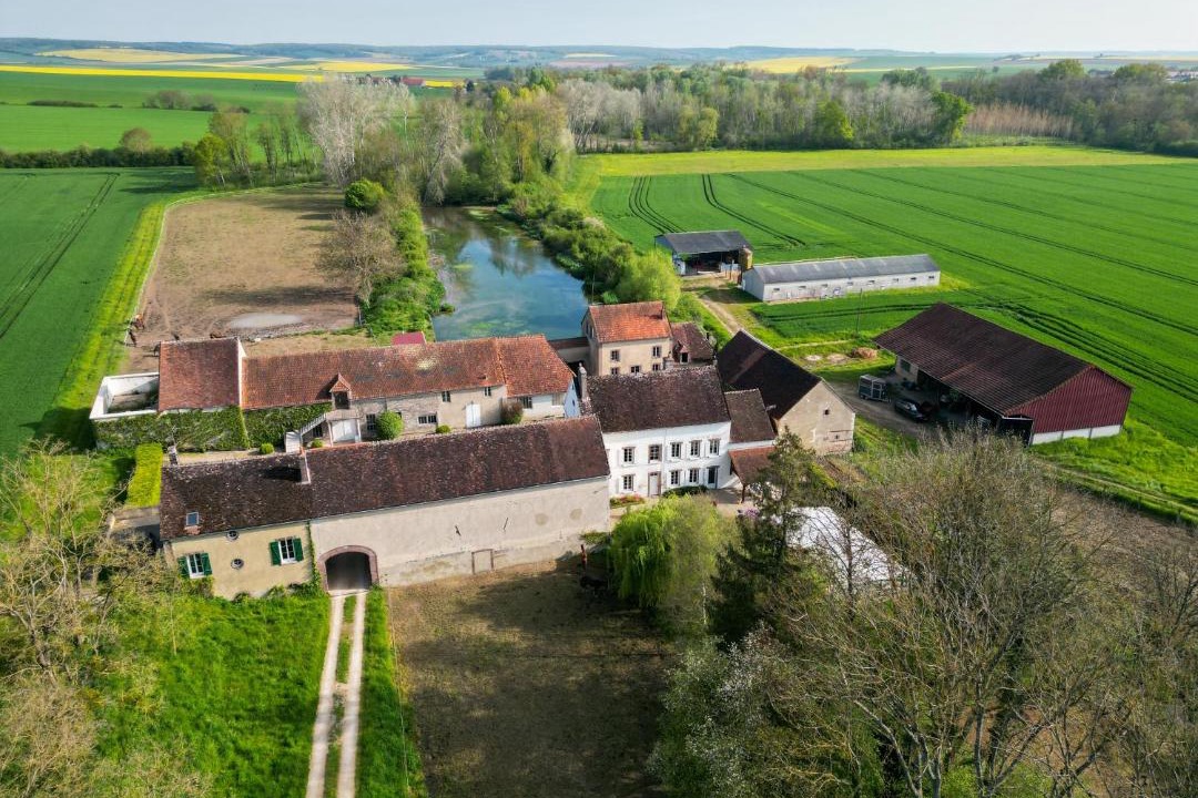 Photo of Others in Brienon-sur-Armancon