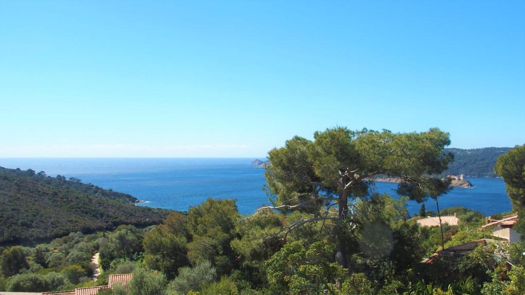 Photo of Others in Ile du Levant