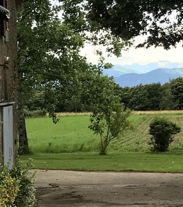 Photo of Others in Andoins