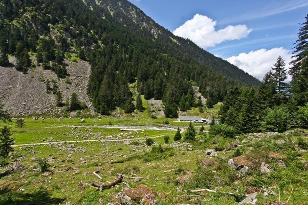 Photo of Others in Cauterets