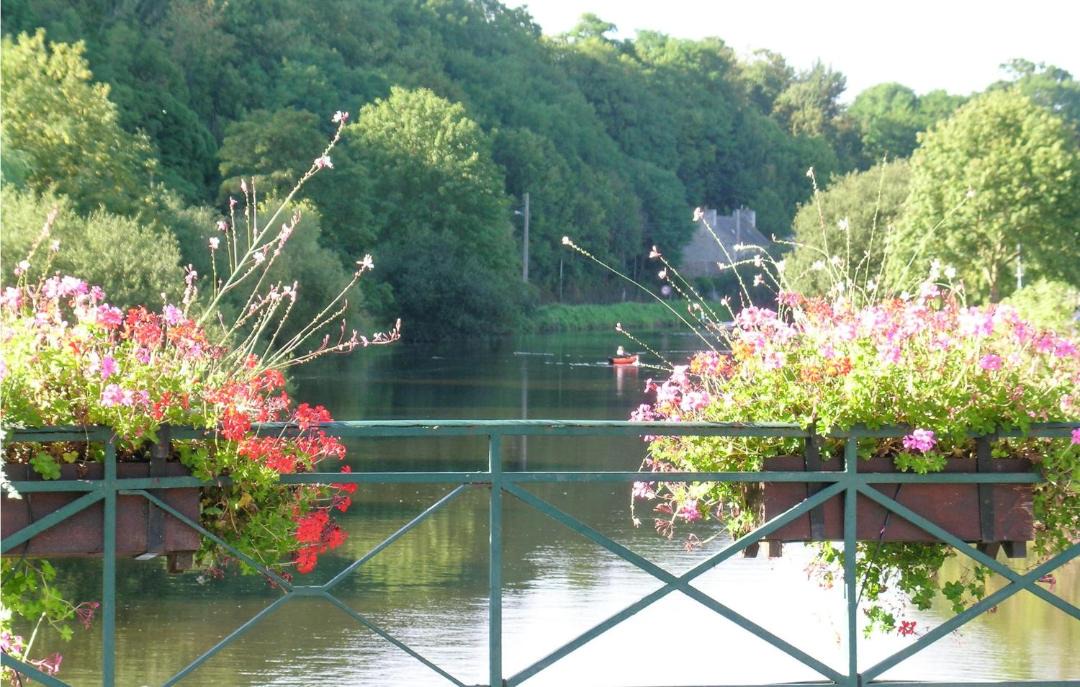 Photo of Others in Brelidy