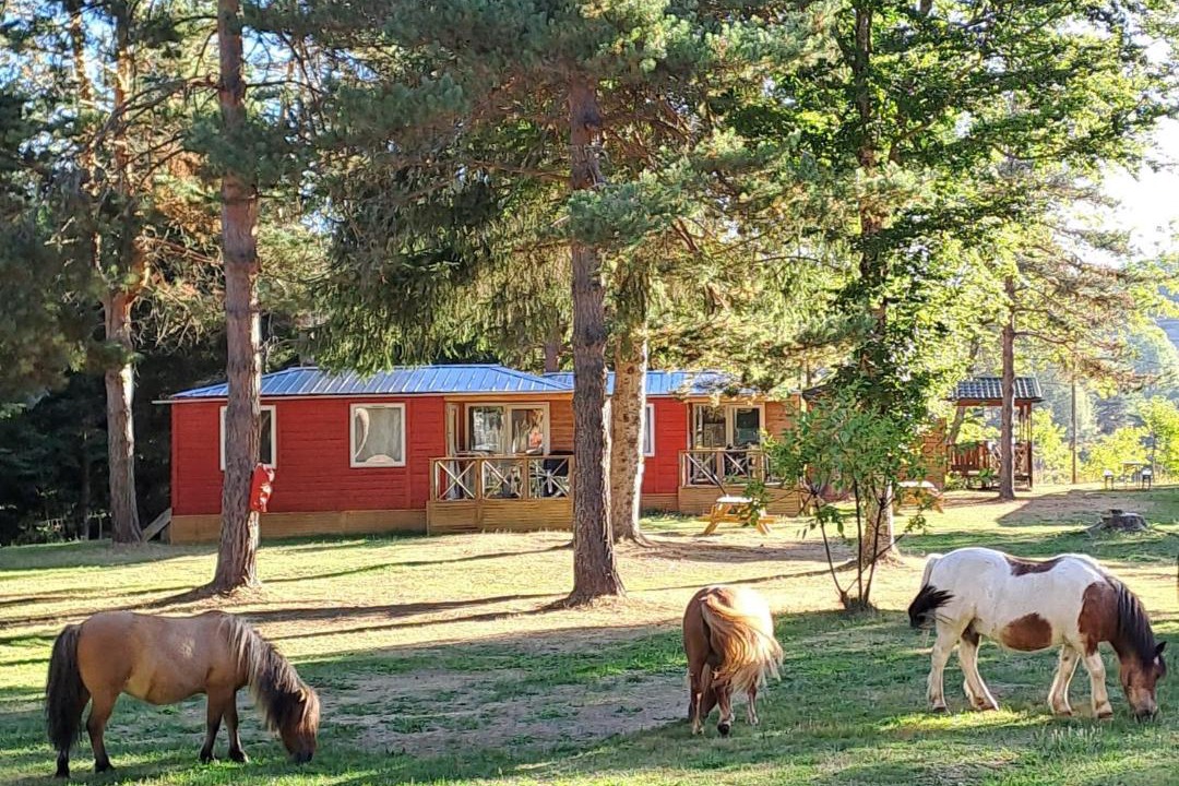 Photo of Others in Camurac