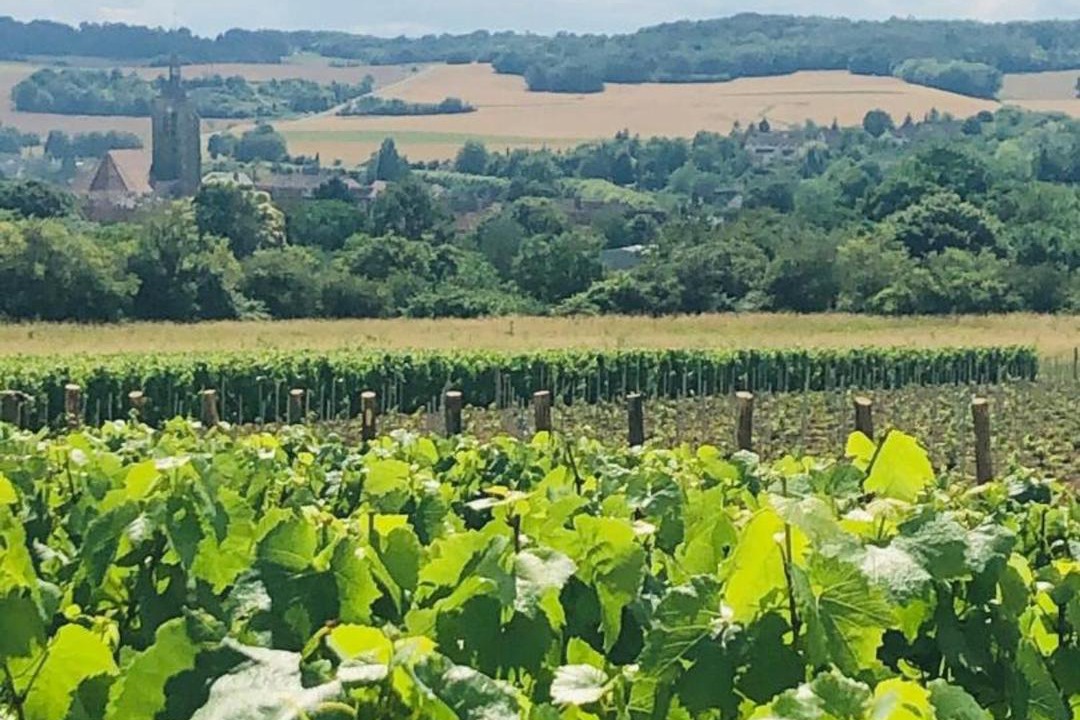 Photo of Outdoor in Villenauxe-la-Grande
