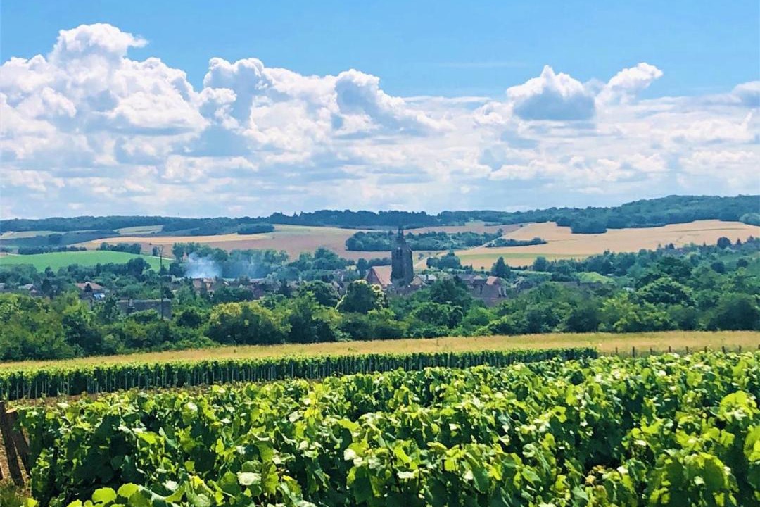 Photo of Outdoor in Villenauxe-la-Grande