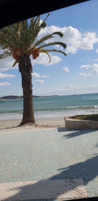 Photo of Others in Bandol