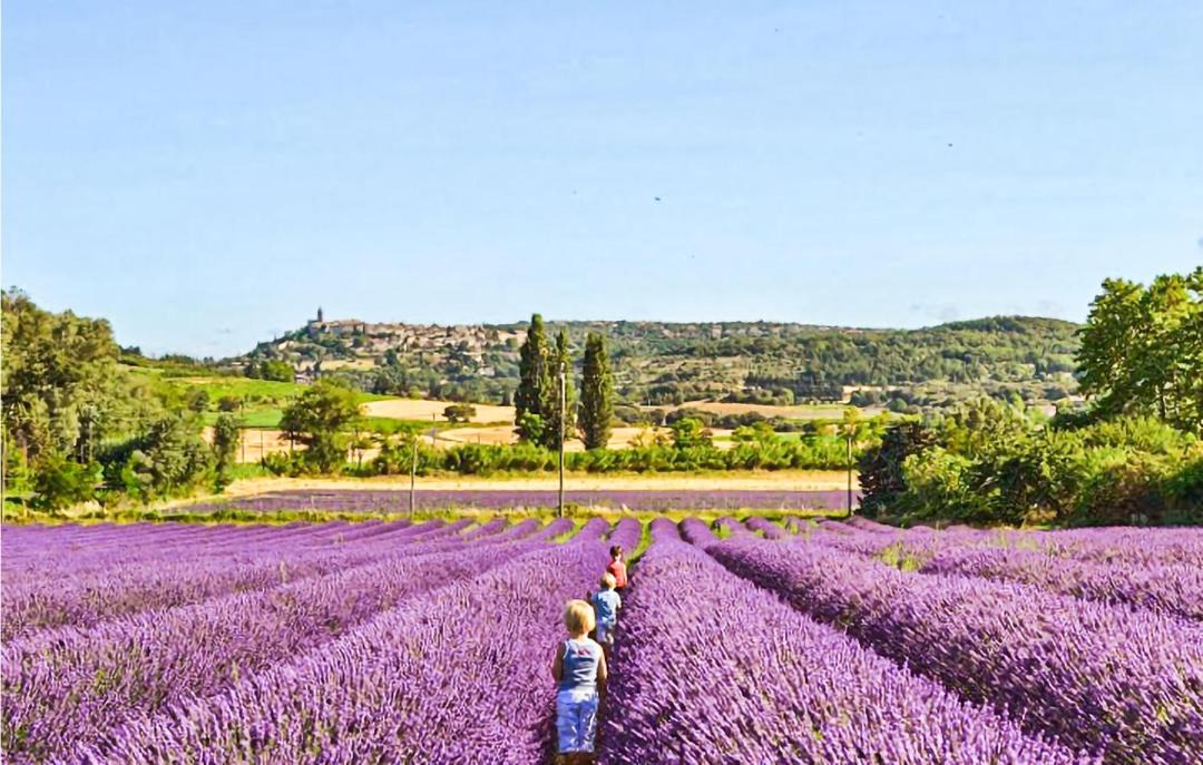 Photo of Others in Remoulins