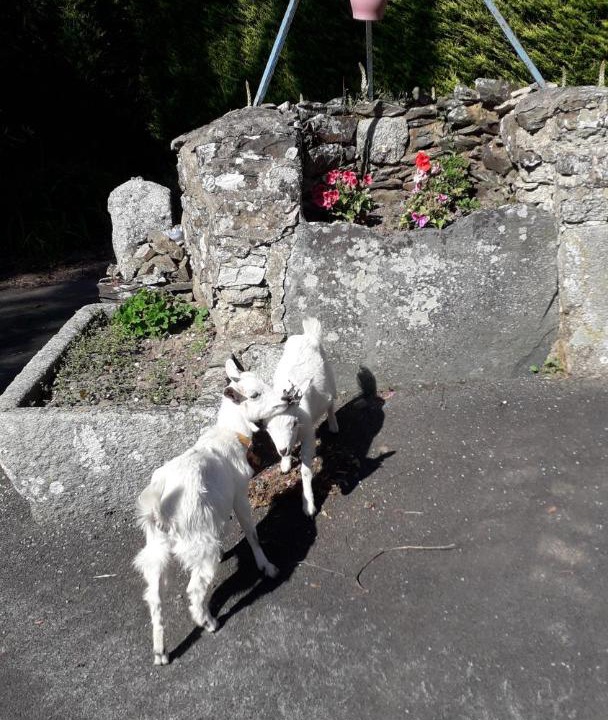 Photo of Others in Langoat