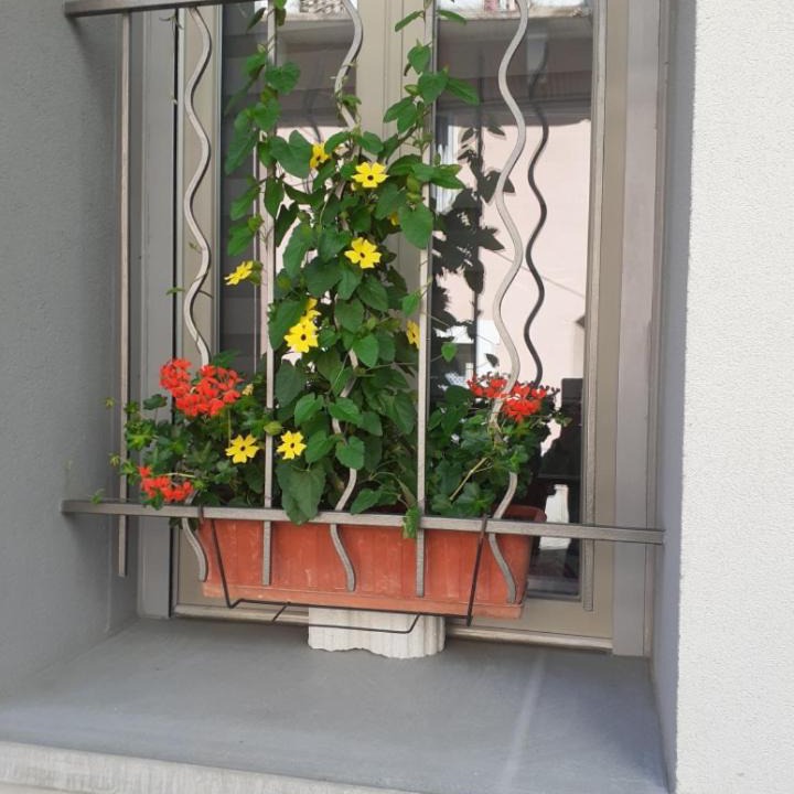 Photo of Others in Argeles Gazost