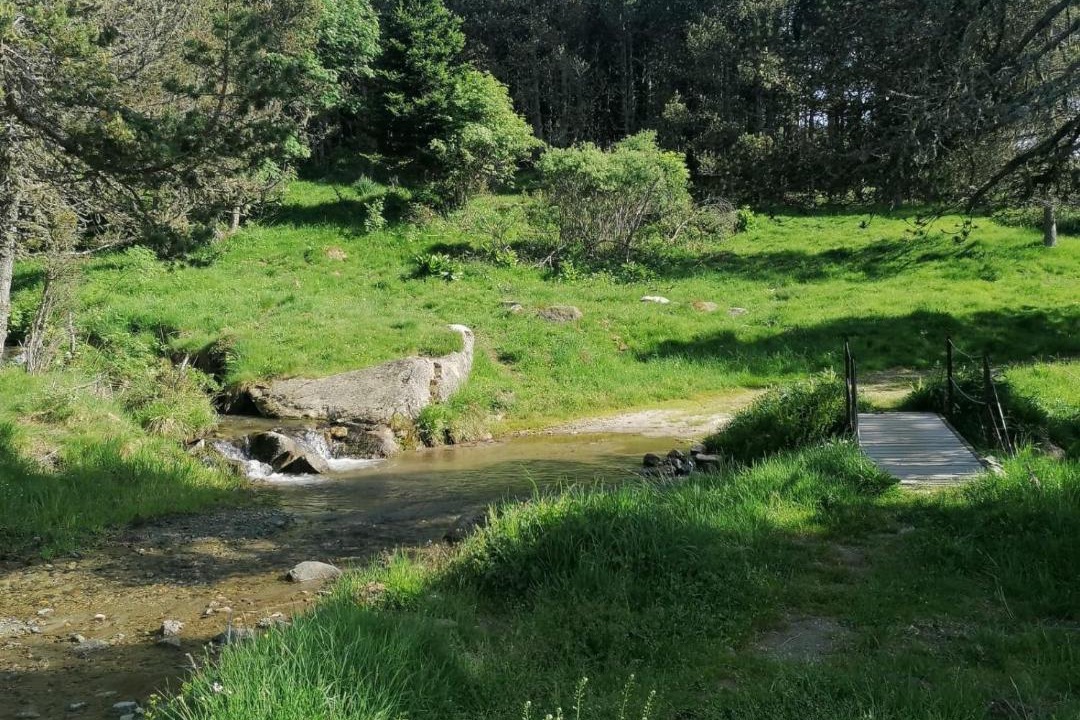 Photo of Others in Roquefort-de-Sault