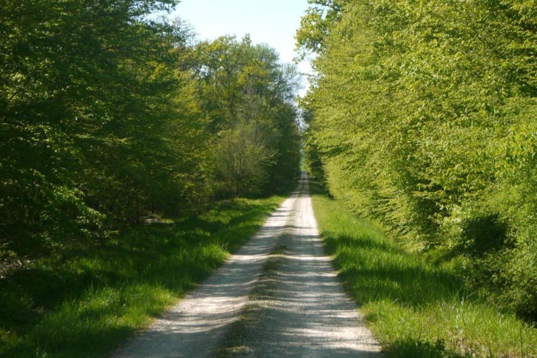 Photo of Outdoor in Lusigny-sur-Barse