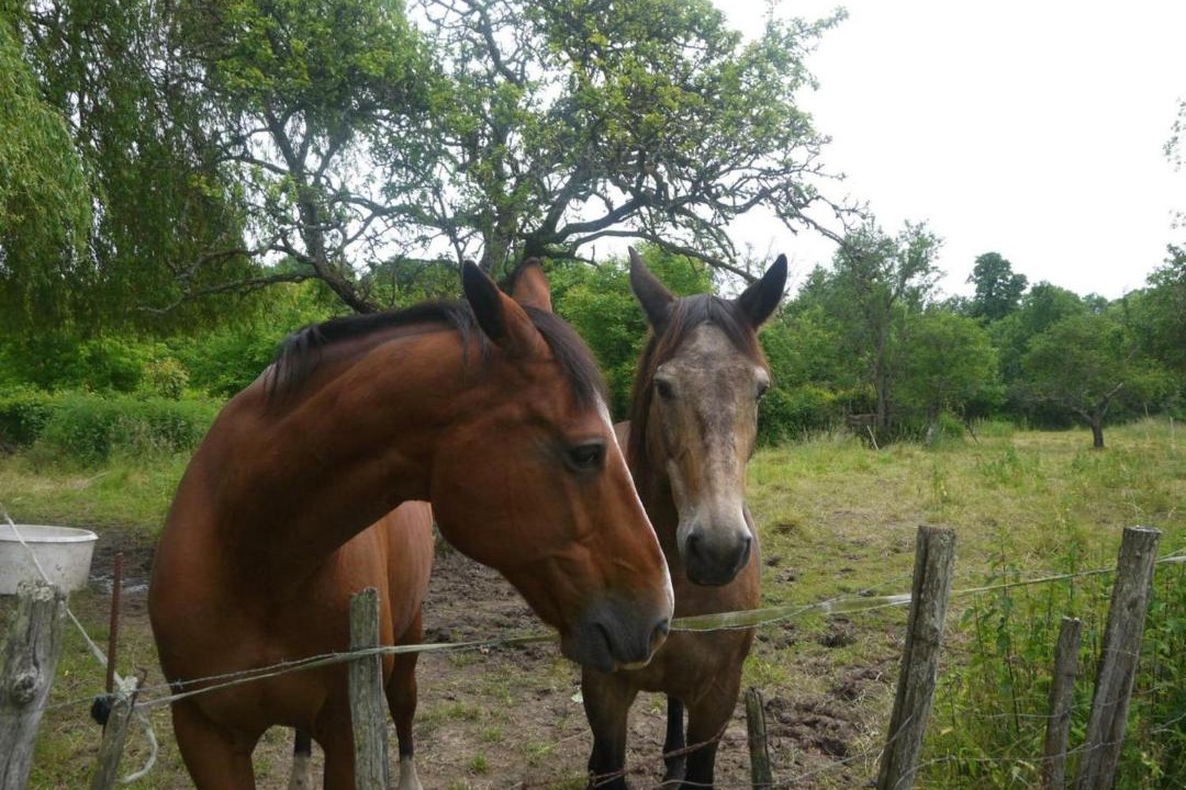 Photo of Others in Lusigny-sur-Barse