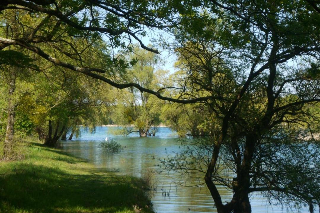 Photo of Outdoor in Lusigny-sur-Barse
