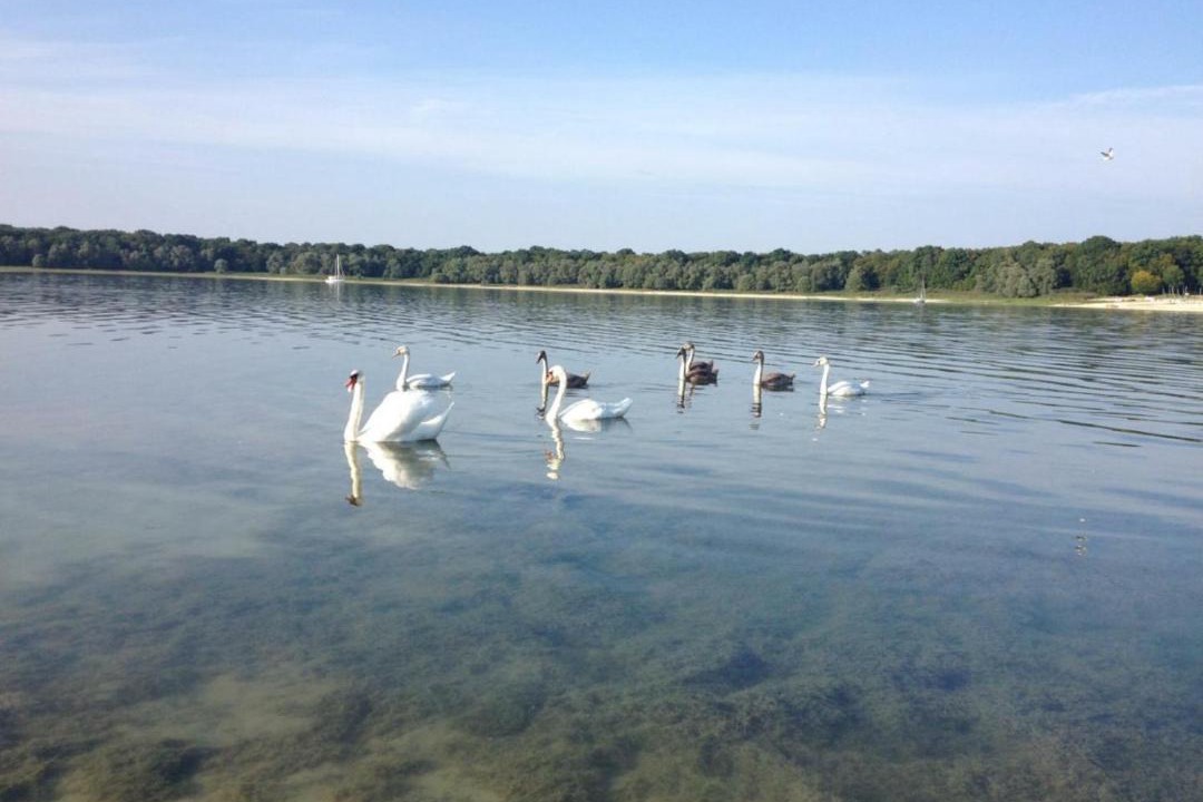 Photo of Outdoor in Lusigny-sur-Barse