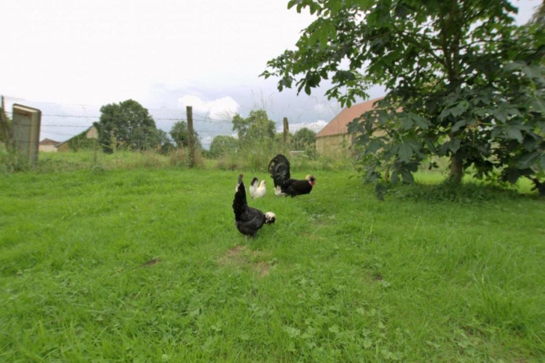 Photo of Others in Cussangy