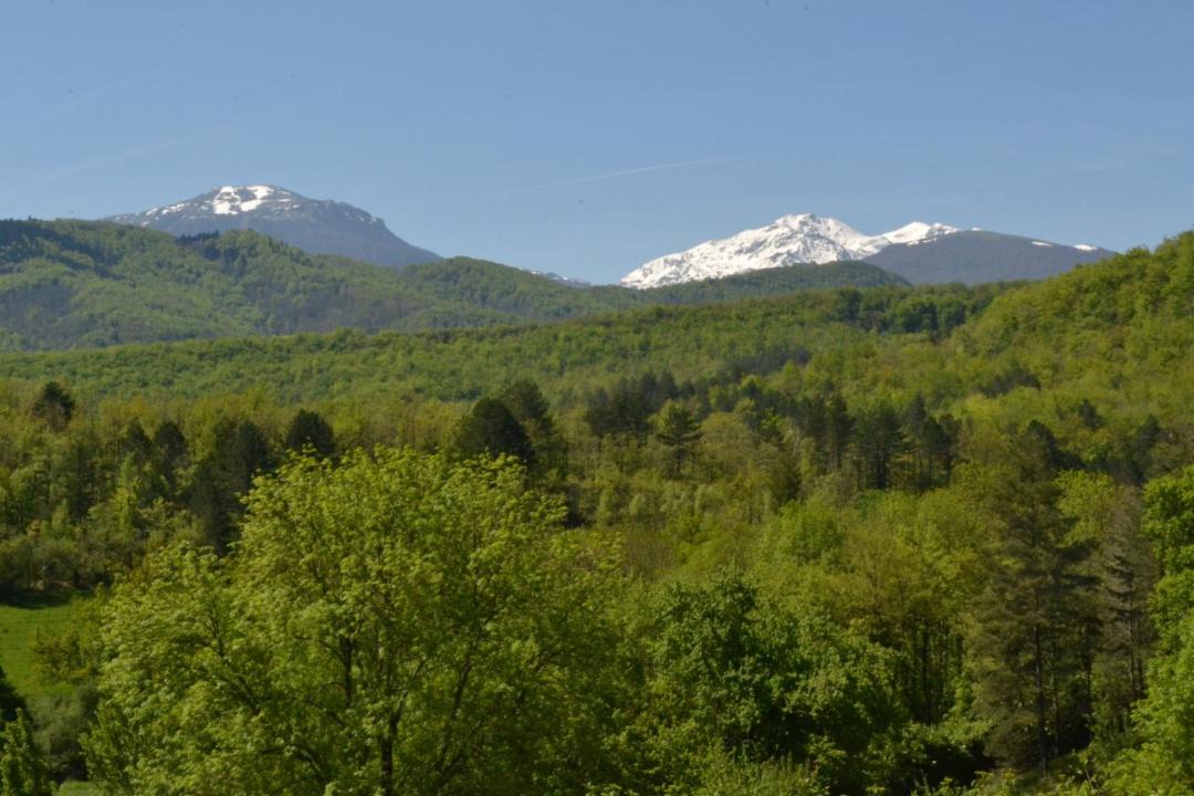 Photo of Others in Saint-Jean-dAigues-Vives