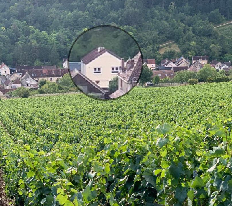 Photo of Others in Chablis