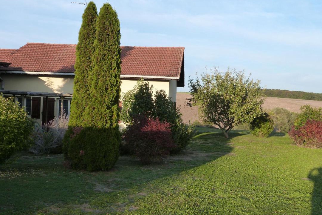 Photo of Buildings in Sionviller