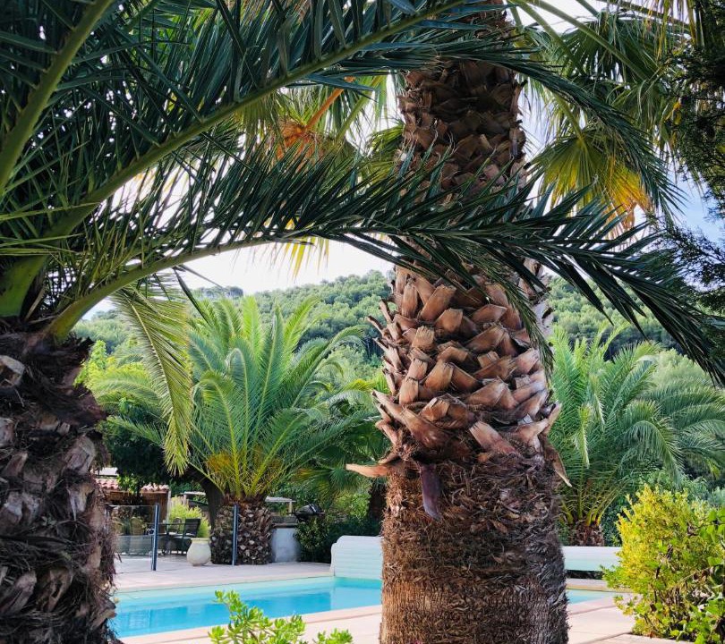Photo of Others in Le Castellet