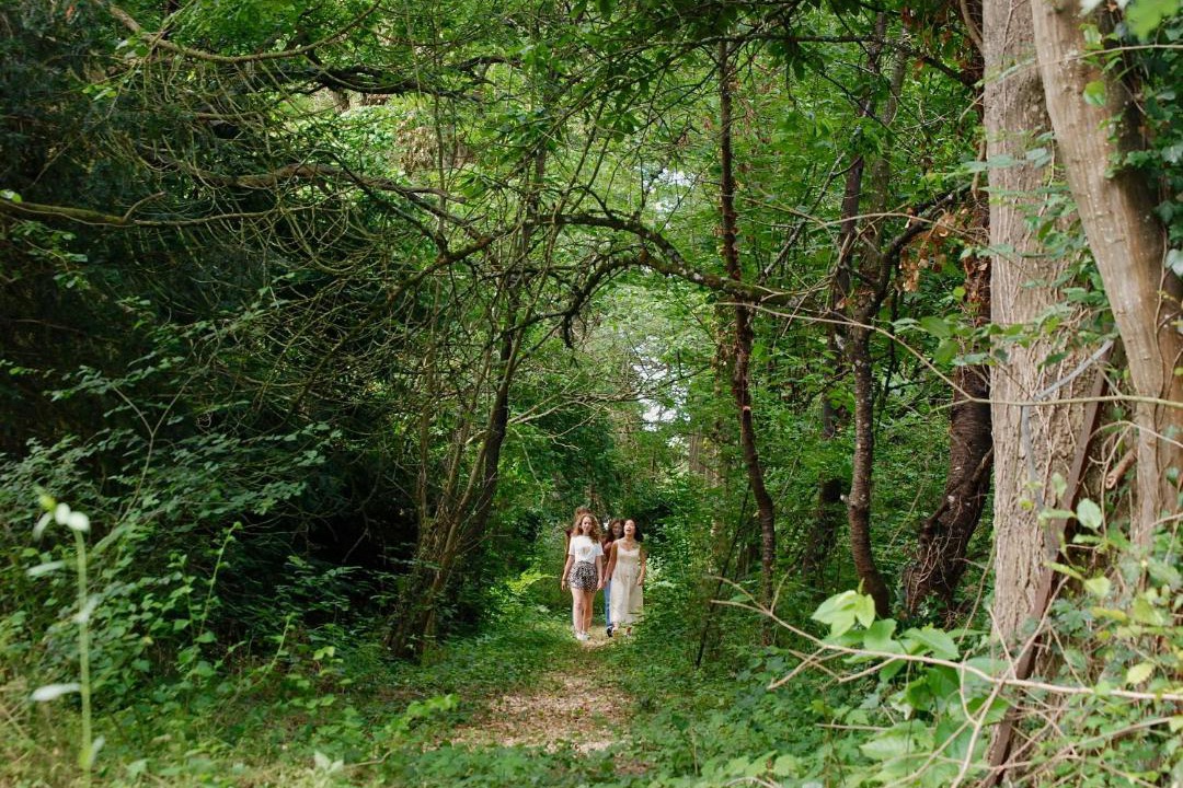 Photo of Others in Villeblevin