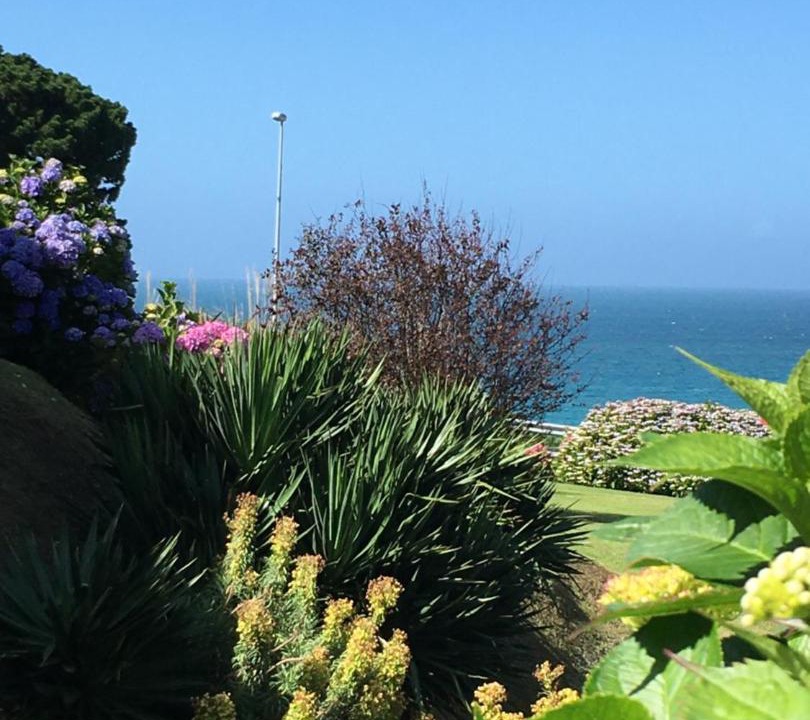 Photo of Others in Trevou-Treguignec