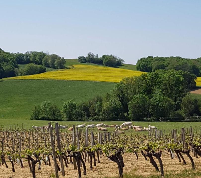 Photo of Others in Margouet-Meymes