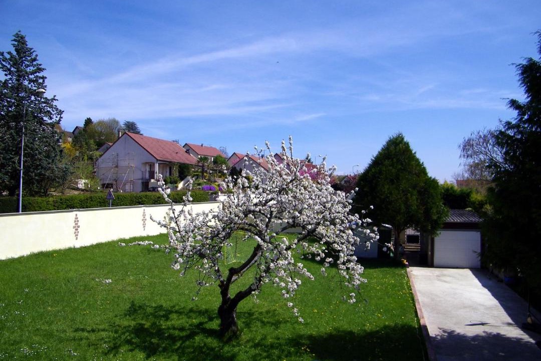 Photo of Others in Joigny