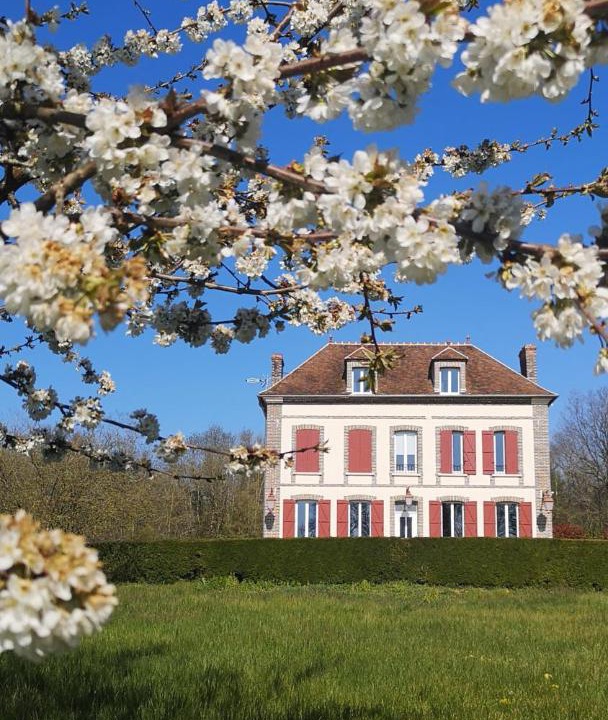 Photo of Others in Villeneuve-sur-Yonne