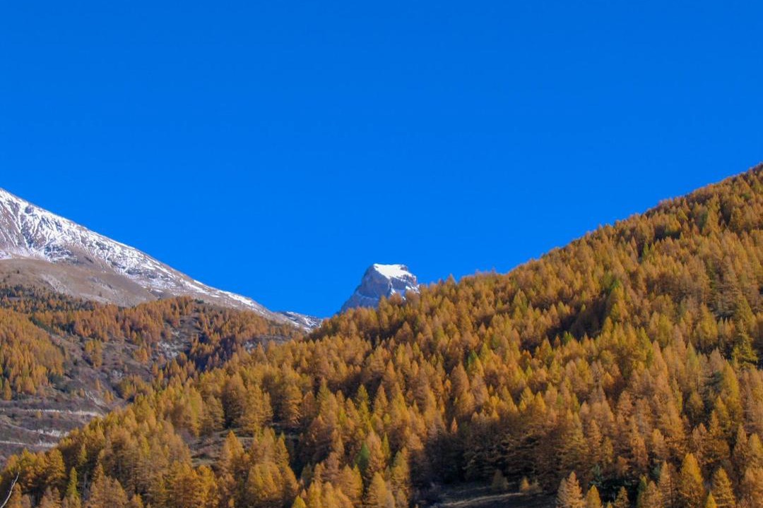 Photo of Others in Jausiers