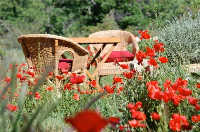 Photo of Others in Plan-d'Aups-Sainte-Baume