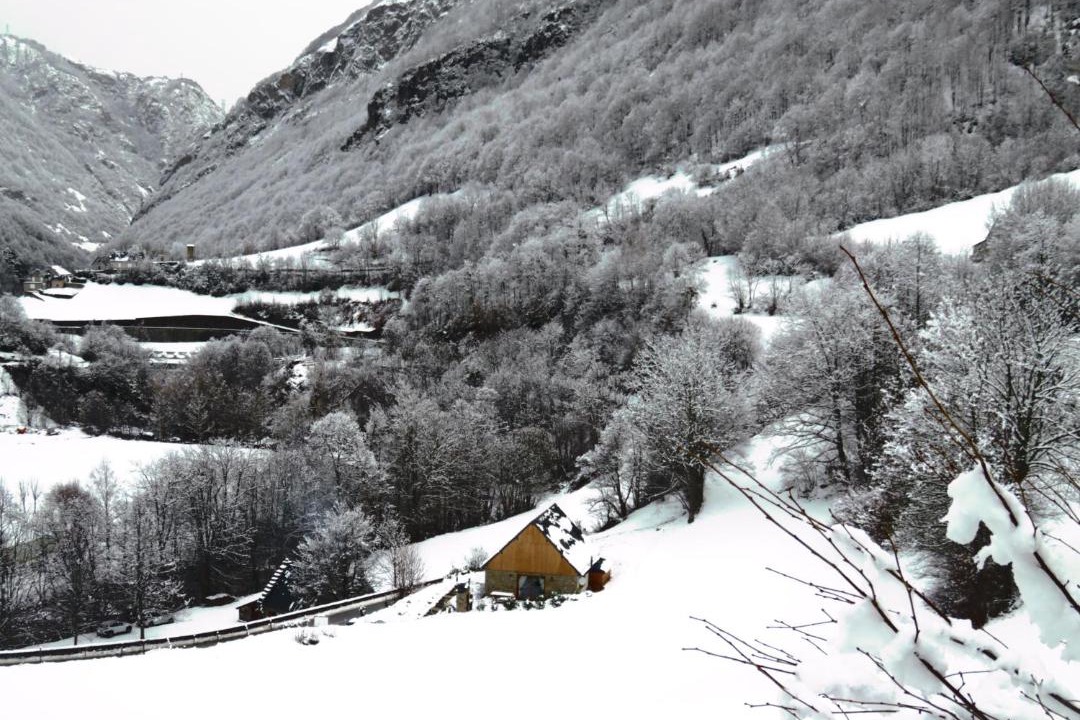 Photo of Others in Gedre