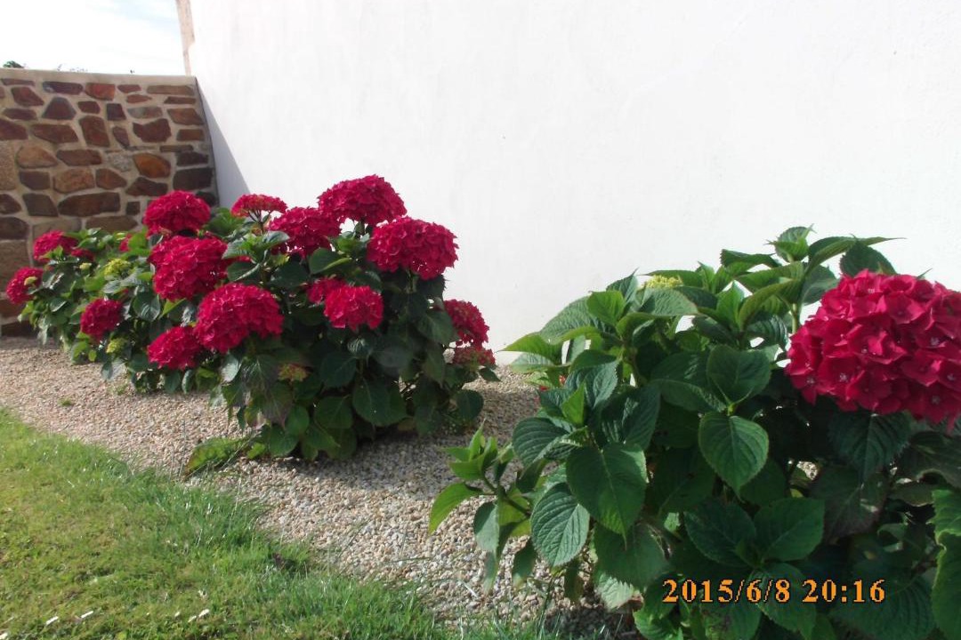 Photo of Others in Tregomeur