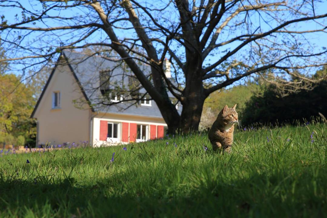 Photo of Others in Ploulech