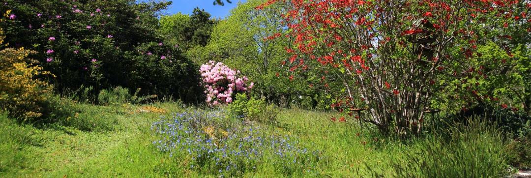 Photo of Outdoor in Ploulech
