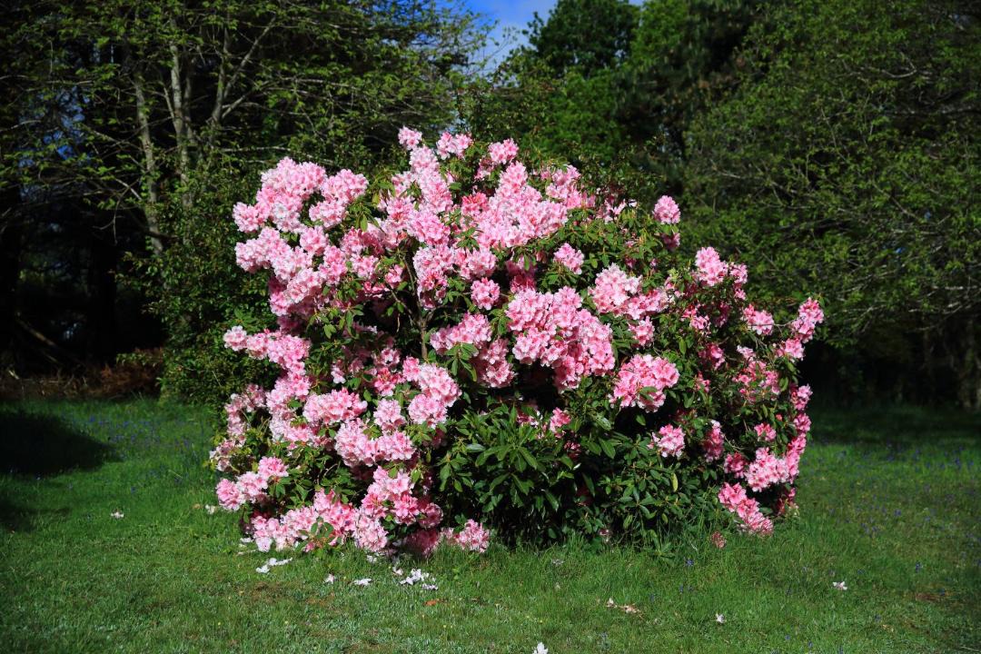 Photo of Outdoor in Ploulech