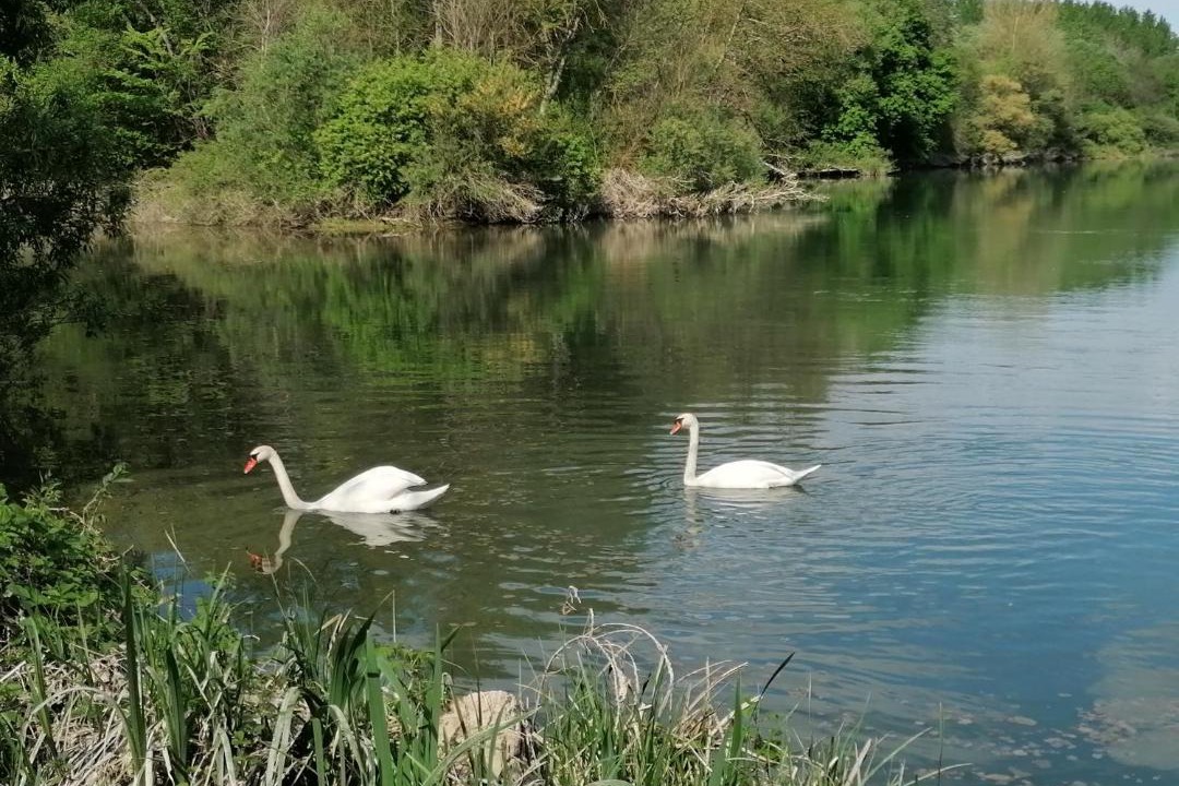 Photo of Others in Esclavolles-Lurey