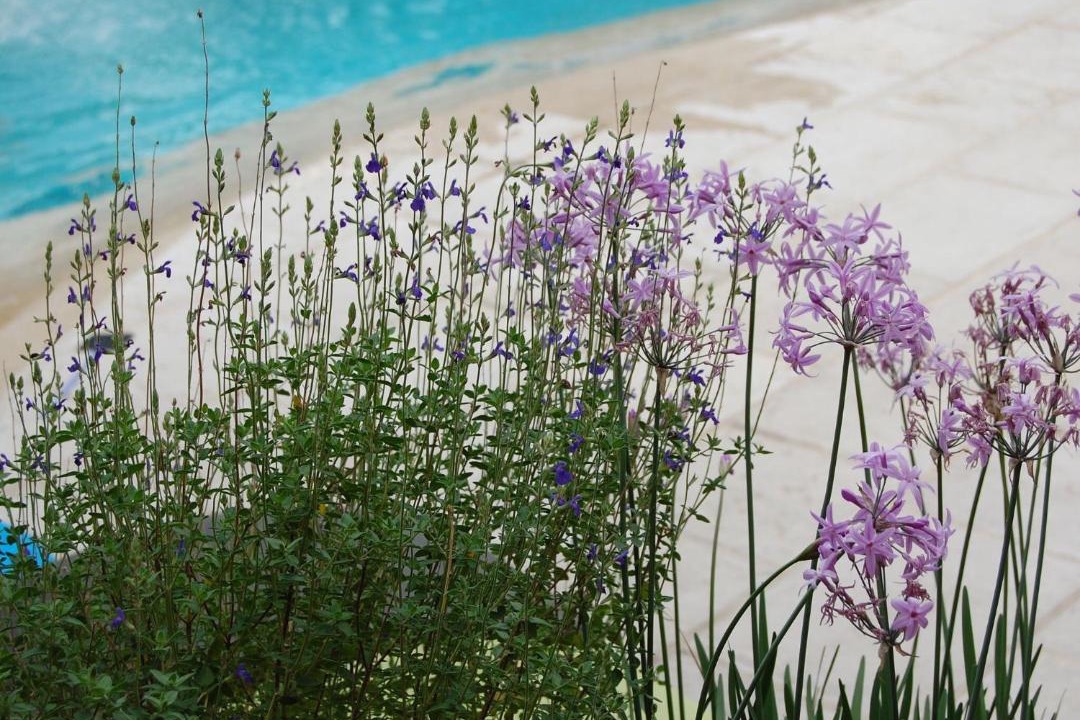 Photo of Outdoor in Montfort-sur-Argens