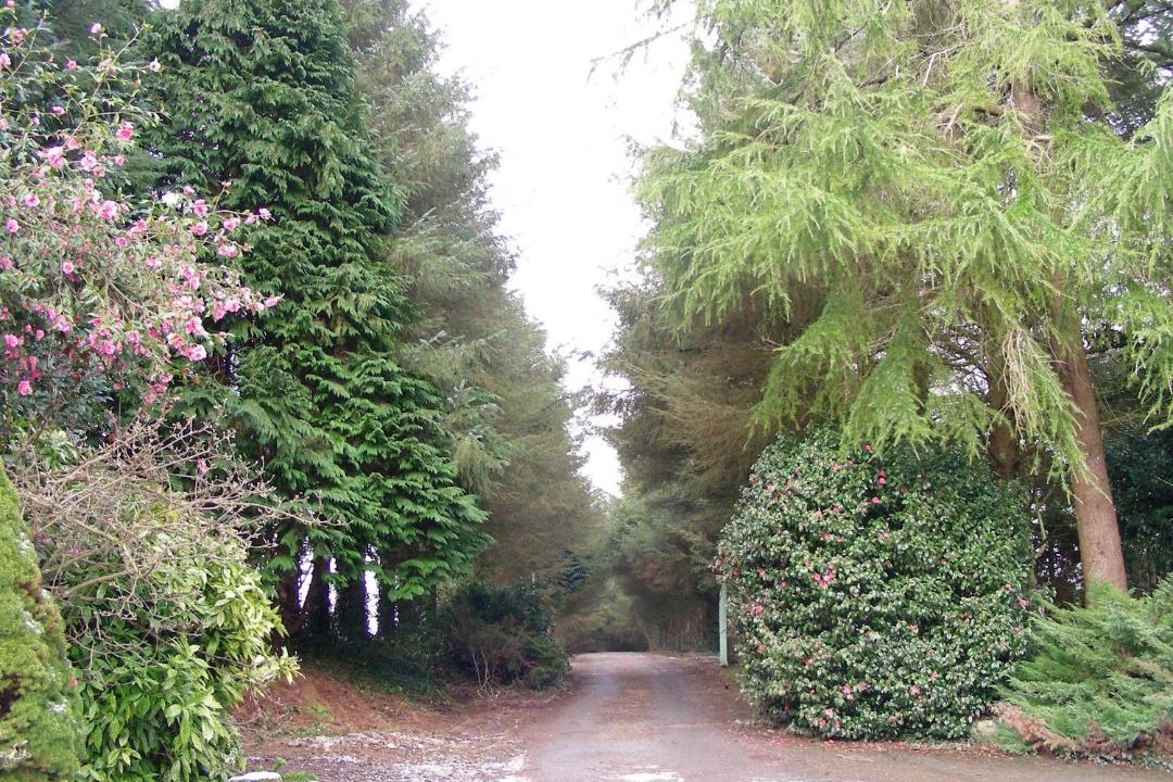 Photo of Outdoor in Botsorhel