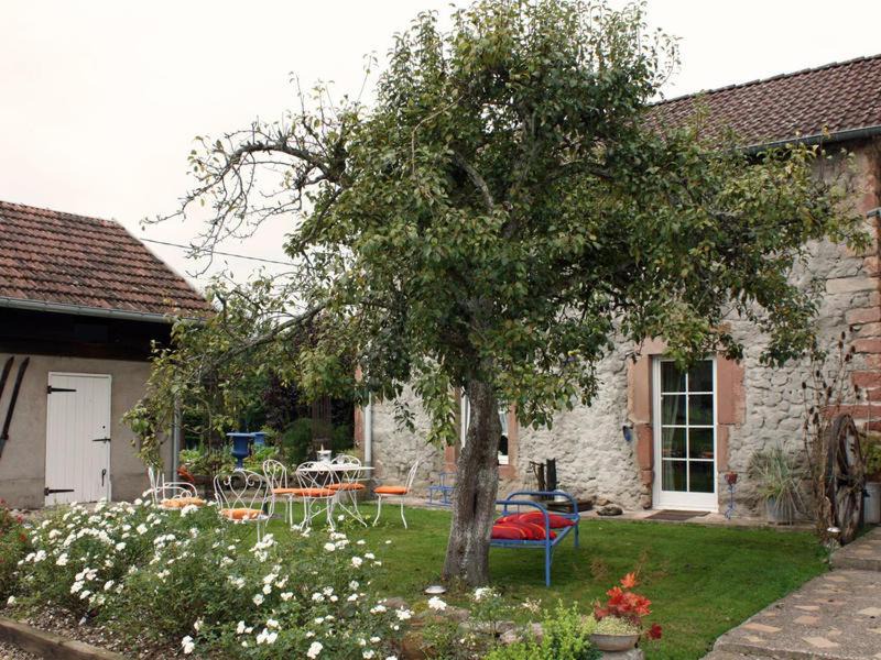 Photo of Others in Saulcy-sur-Meurthe